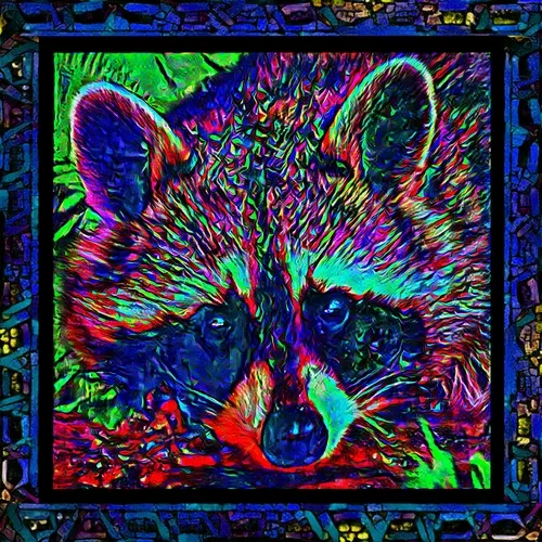 Raccoon