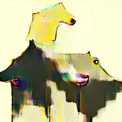 Bipolar Dog