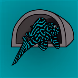 81664083123670143983968740139941474364733981378414170565535212990281088499713