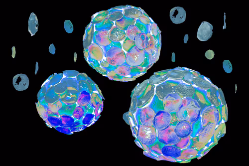 Item #37900416221122506501335633877119484743479036957071266384470156544092688875521 Media