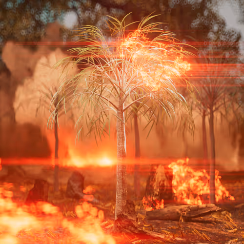 Item #69470883098394707172204431610548829416991906410916875650604554549787174633473 Media