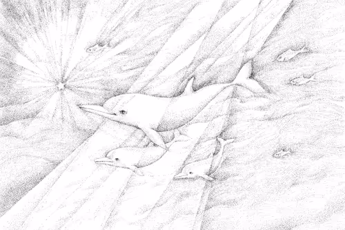 Item #13934243290529806368964585825036521935178473085357694684673957276616941895681 Media