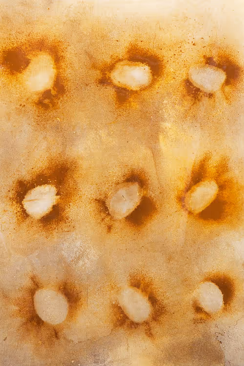 Item #111264774895172989553606282022194155892745764425417346937131400130044228534273 Media