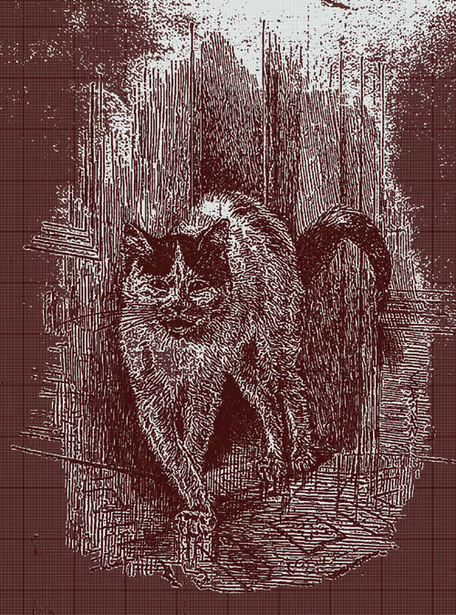 Item #35247308013863639916483757756408588227786114589757564733366544622117911003166 Media