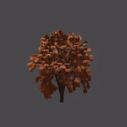 Maple Tree