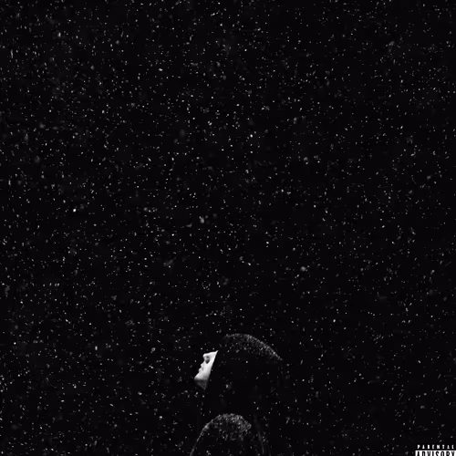 Sky High - Melifboom