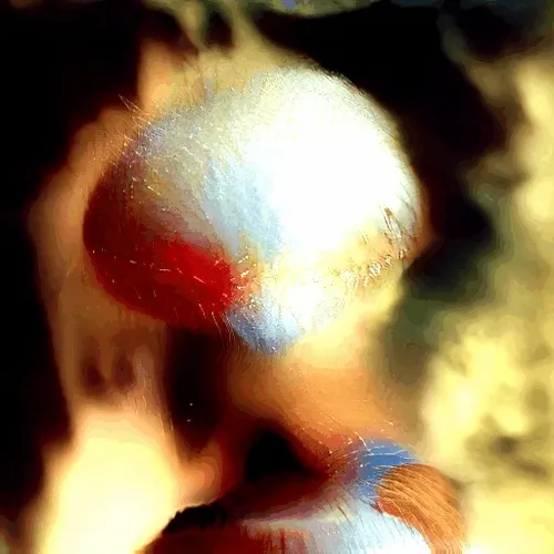 Alien Gods #278