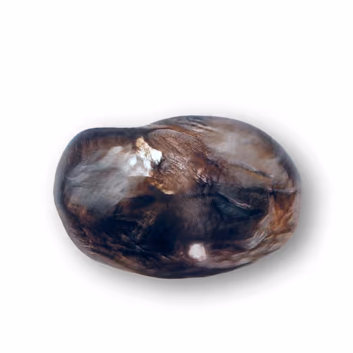 Item #52517746455901814958898160183103944313181907227358248103725221528800535248897 Media