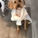 My dog Charlie