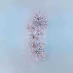 100600280271040798317723628260513137156606623100883316454227272106776035590145