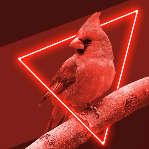 Neon Bird