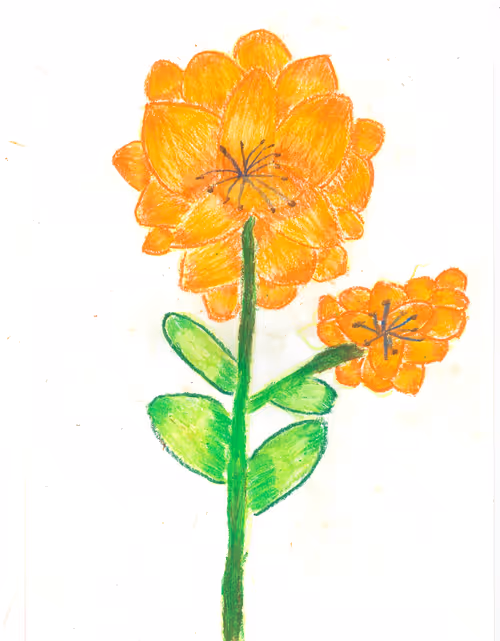 Item #96193840209485145281786227616875507946293260960527511035489777767217467752449 Media