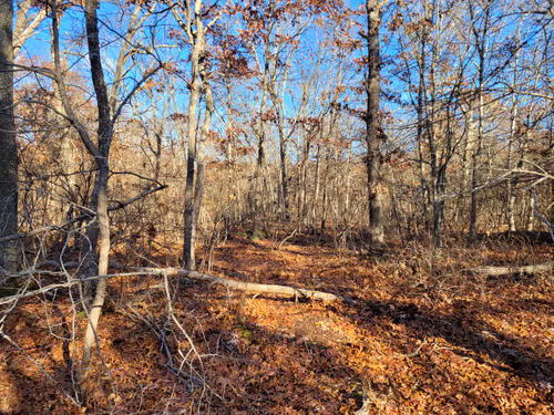 Item #34085441569699423005310991372941828806155687762378495952169943196676313317377 Media