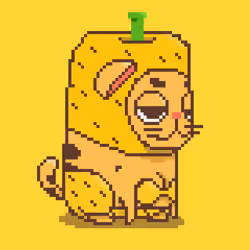Crazy Cats Junior #00030