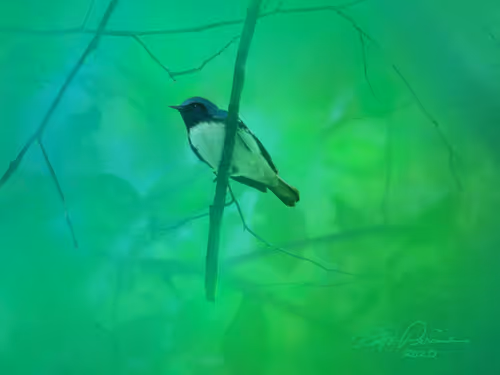 Item #87010381111465546446533837784739915015969227836849701116768191715016464924673 Media