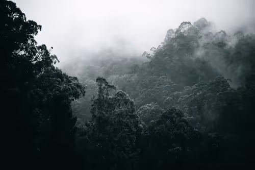 Item #31788909356613404137048829070137069187400346678612286943977180892757311356929 Media