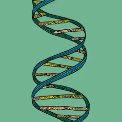 28824502245252267217549902857601847351510039266873569823091148530664807071745