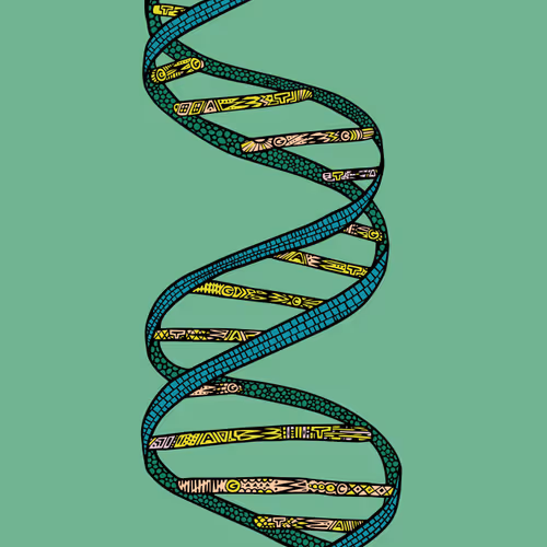 28824502245252267217549902857601847351510039266873569823091148530664807071745