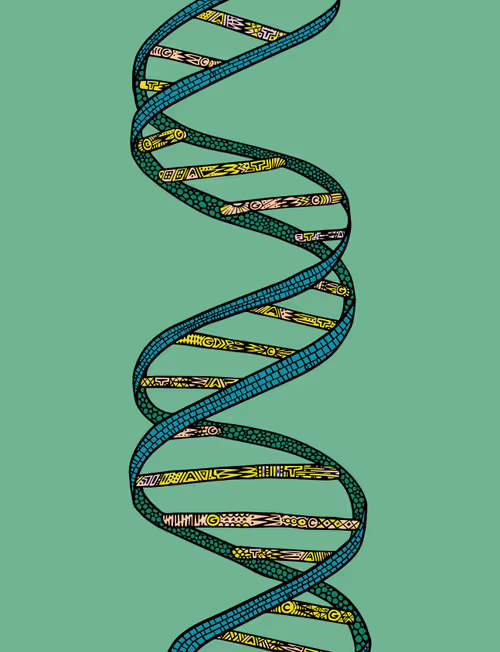 Item #28824502245252267217549902857601847351510039266873569823091148530664807071745 Media