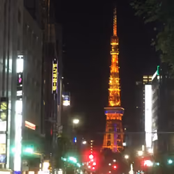 Night View of Tokyo Tower