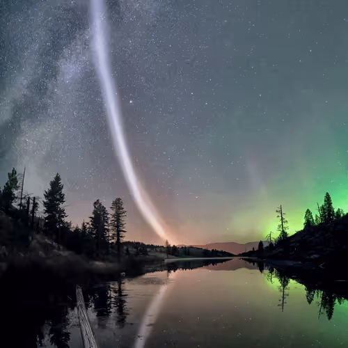 STEVE- by Dave Markel