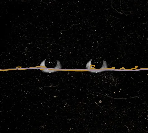 54688137389352509344092767467911615879738143210533731435142059752304859414529