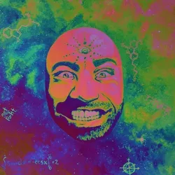 The Joe Rogan Experience: DMT Edition V14