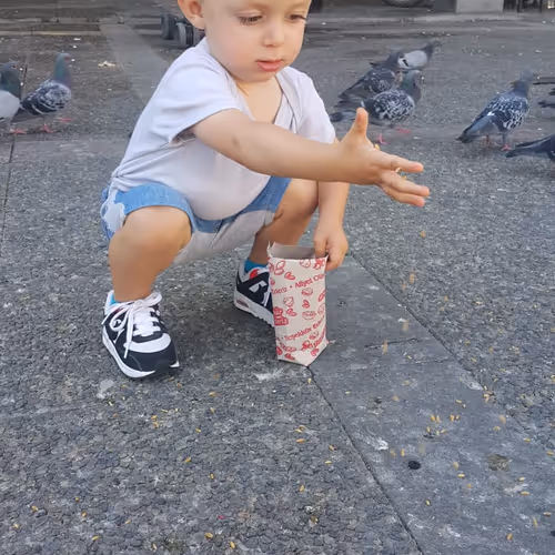 Untitled Collection #84642913 - old