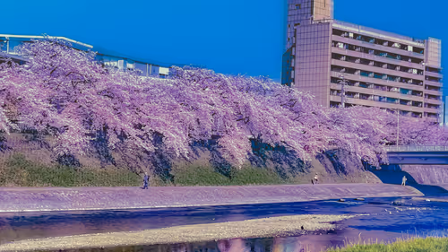 Item #26309083901545567454709889211670292098627789932924015051489478896503262019589 Media