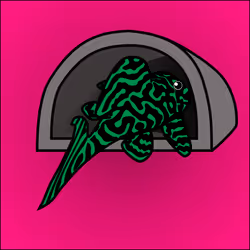 81664083123670143983968740139941474364733981378414170565535212713204158300161