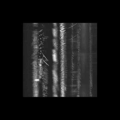 Item #43939955971694368961434358164711021081057237677410347264159755624984103354369 Media