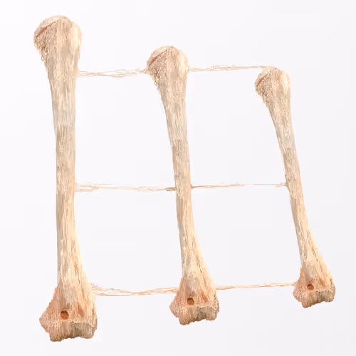 Item #54210173632013480672368067320227850167445202145462858171925537225186350202890 Media