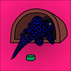 81664083123670143983968740139941474364733981378414170565535213007873274544129