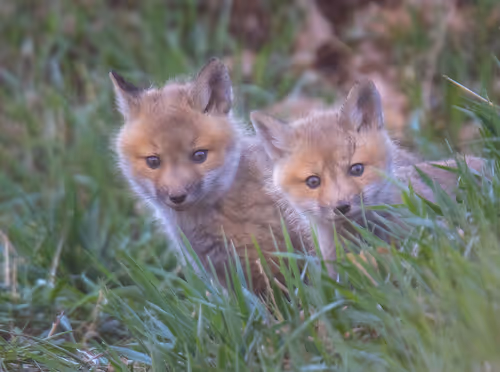 Item #19207338348144225692080396183640865546201068415206893468727031783795653083137 Media