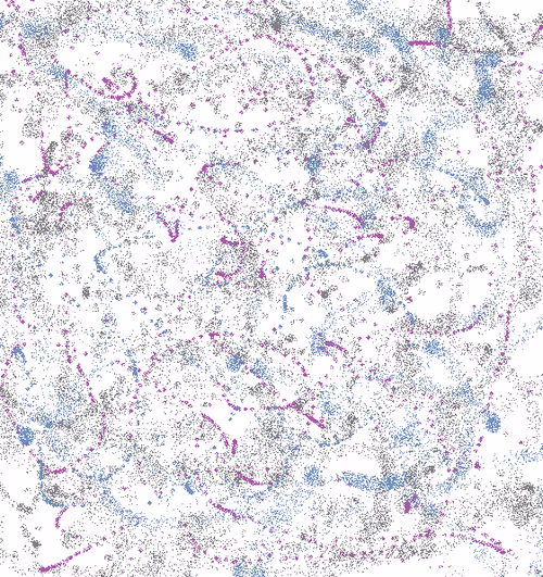 Item #92429335282260909374609704994630678571641178898525213418284637710995544866817 Media