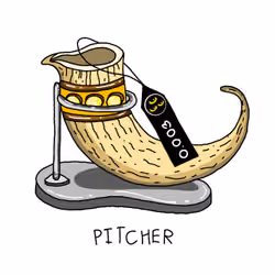 Pitcher