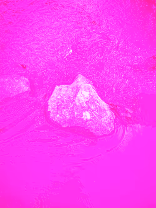 Item #98843954857266856101330559780238873570552098425130206222908041929693868326913 Media