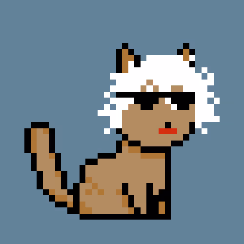 PunkCat #169