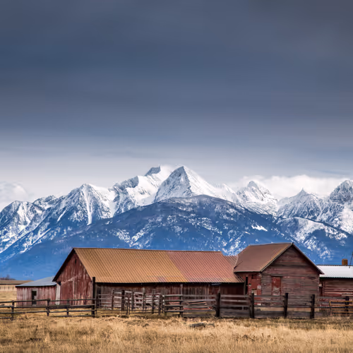 Back At The Ranch