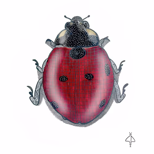 Item #15801673652802308372577505787352629385754574034337411443350535618437316609 Media