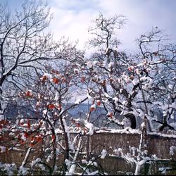 71165997854143450093372358757960361854753460918996014251035868602571956420609