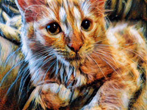 Item #70677597916389332091875359855925065117436584504780574341127713026893464731649 Media