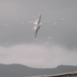 F/A-18 Hornet #3