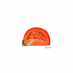 Tomato #9