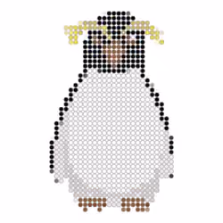 Northern-rockhopper penguin (Eudyptes moseleyi) #5