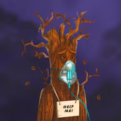 38969088093190670381878411557565580659447067316565611691845276635065139331073