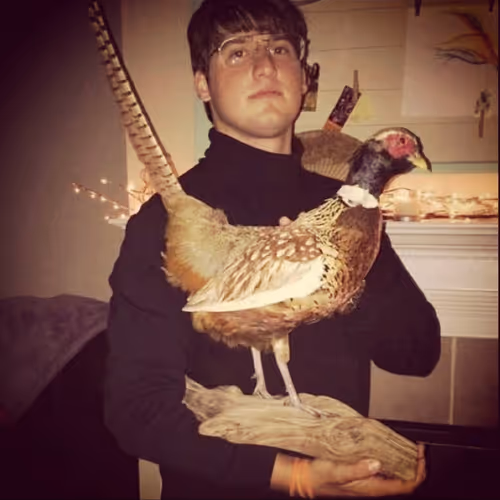 CoinDuckling Collection