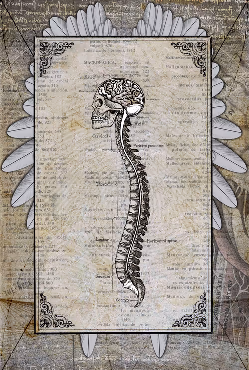 Item #8085254141654812684738761113738258081454055288701000052945293490768735895553 Media