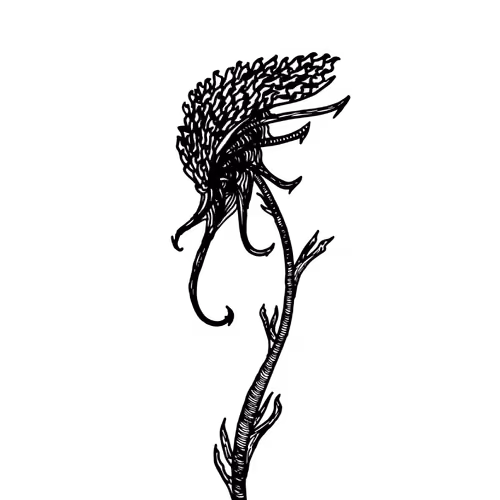 Dragon Flower