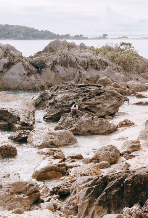 Item #60998420727018390083984096453884096128162625379406694824409400106731582783489 Media